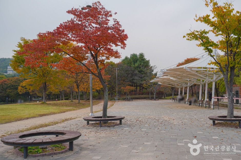 난지천공원의 쉼터와 벤치